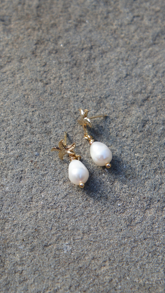 Starfish Pearl Earrings