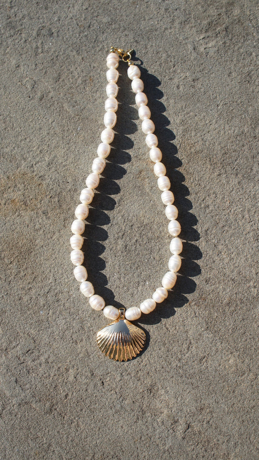 Mirae Shell Necklace