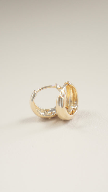 Dilary Hoops